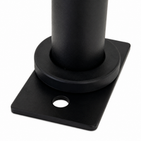 weight plate storage posts