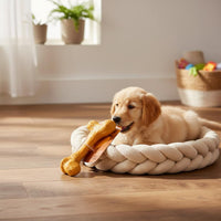 Beef Flavored Gnaw Bone Bite Resistant Dog Gnaw Bone Pet Supply  Enrichment Toy for Young Dogs