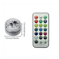 Waterproof RGB decor lights, remote