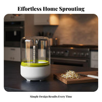 Bean Sprout Growing Kit Grow Crisp Sprouts Bean Sprout Grower Glass Sprout Grower Jar Stainless Steel Mesh Countertop Germinator