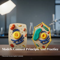 Hands-on Learning DIY Cell Model Kit STEM Toy Creature and Plant Cell Model Promotes Creativity for Students, Teens, Classroom