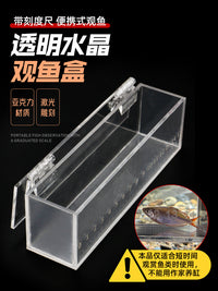 观鱼盒小物钓透明带刻度亚克力野采鳑鲏白条马口小溪流野营观察盒