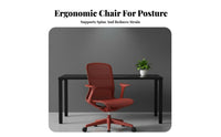 Reclining rotating Chair with Footrest Ergonomic Design Computer Seat sturdy Duty Breathable Mesh spine for Studying, Study Room