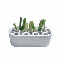 Green Onion Regrower Regrow Herbs Kitchen Gadget Easy to Use for Windowsill