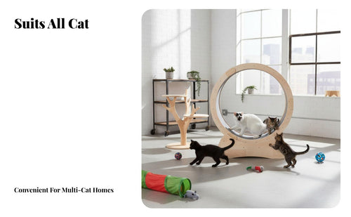 Quiet Operation feline jogning Wheel Sturdy Construction Feline Treadmill Non-Slip jogning surface pet Exercise gear Paw-friendly Design for felines, Indoors, Indoor, Apartment Living, Home