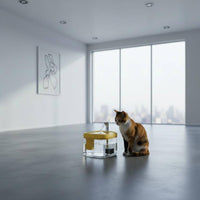 Feline Water Fountain Quiet Circulating Feline Fountain Ultra-Hushed Pump