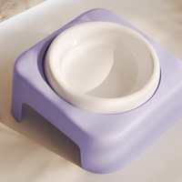 Elevated Pet Bowl, Ceramic Cat Food Bowl with Stand, 175ml Anti Vomit Shallow Dish for Felines & Small Dogs