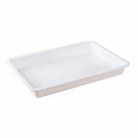 Rectangular cafeteria Plate long-lasting Serving Platter multipurpose for Kindergarten