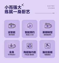 110V电煮锅小型多功能迷你电饭煲美国加拿大学生出国宿舍煮面电锅