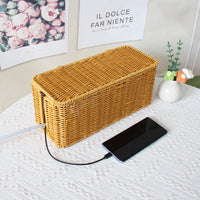 Rattan Weave Storage Basket for Desk, Cable Organizer Box, Plastic, Modern Simple Style
