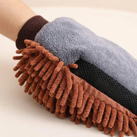 car wash mitt