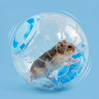 16 cm Hamster Sphere with Reflective Coating, Well Ventilated Exercise Sphere, Paw Standing Design