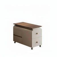 2-Tier Rolling Trolley Mobile with Casters Side Table Space-Saving Design Adaptable Use for Homeowners, Living Room