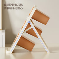 Large Capacity Desk Storage Box Pen Holder with Slanted Insert, Multi-layer Student Organizer