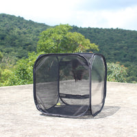 Foldable Black Insect Rearing Cage with Observation Window