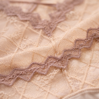Womens Knickers with Lace Detail and Quick Dry Mesh Material, Ladies Briefs with Gusset for Everyday Wear, Breathable Underwear