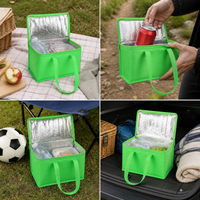 Portable Insulated Lunch Bag Cooler for Outdoor Picnic, Beer, and Food Storage