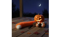 Animal Ears and Tail Set Soft Animal Costume Set Easy to Wear for Cosplayers, Cosplay, Halloween