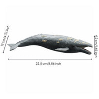 Realistic Animal Model Screen Play Marine Mammal Toy Cetacean Figure Figurine for Learning