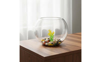 Round Glass Fishbowl High Clearness Desktop Aquatic Pets Bowl Multi-Functional Round Glass Fish Bowl for Beginners, Living Room, Office
