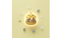 Mini Egg Hatcher Small Size Chicken Egg Hatcher Large Viewing Area Equipment for Kids, Home, Classroom