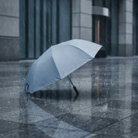 Long-Handle Umbrella Auto-Open Automatic Umbrella Wind-Repelling for Commuters, Business Professionals, Daily Commute, Travel