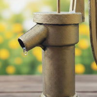 Cast Iron Hand Pump Decorative Manual Well Pump Easy Installation for Playground