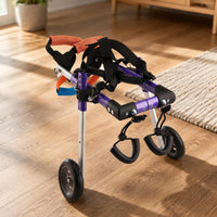 Dog Wheelchair Lightweight Rear Leg Mobility Cart Adjustable for Rehabilitation
