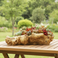 Resin Planter with Driftwood Look Irregular Driftwood Planter Rustic Pot for Gardeners, Tabletop, Windowsill, Home Garden