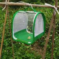 360-Degree Transparent Insect Cage, Portable, Foldable, Butterfly Habitat
