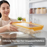 Stackable Dumpling Box Airtight closure Freezer Organizer Multitier for Parents