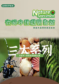 Children's Science Specimen Kit