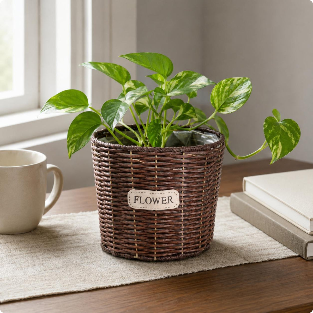 Imitation Rattan Pot Rustic Style Home Decor Long-Lasting for Tabletop