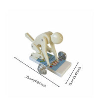 Lifting Posture Model Easy to Understand Spinal Load Model Articulated Joints Teaching Aid for Trainers, Gym, Classroom