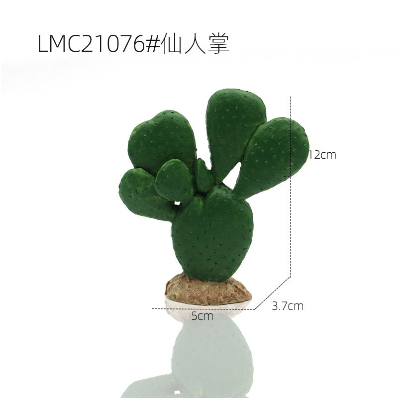 Cactus