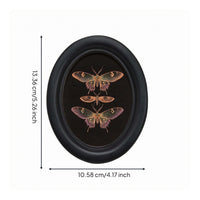 Oval Picture Frame Black Finish Wooden Oval Frame Inset Image Area
