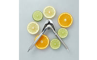 Lemon Press Zinc Alloy Lemon Juicer Long-Lasting for Kitchen