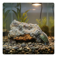 Amphibian Hiding Cave Stable Base Resin Rock Cave Waterproof for Invertebrates