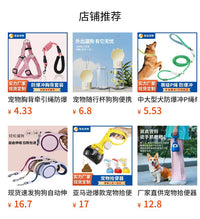 Pet Umbrella with Leash for Small Dogs