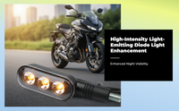 Leoncino waterproof LED turn signal
