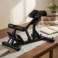 Roman Chair Roller Pads Hyperextension Bench Steel Frame Fitness Equipment for Home Gym