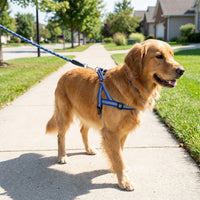 Reflective Dog Leash and Retractable Dog Leash for Night Walking, Nylon Leash for Evening Walks, Outdoor Dog Gear