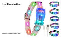 High Visibility LED Pet Collar Multiple Flash Modes Light up Pet Collar Adjustable