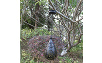 Hollow Projection Lantern Energy Saving Decorative Projection Light for Garden