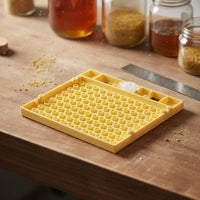 Queen Rearing Cavity Kit Reusable Queen Compartment Initiation Box Plastic