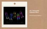 Voice-activated RGB LED, adjustable