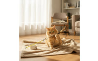 Cat Teaser Rod with Bell Interactive Play Cat Feather Teaser Steel Wire Feather Toy for Indoor