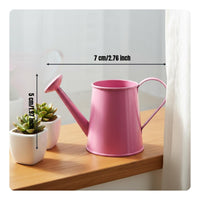 Mini Watering Can Planter Indoor Outdoor Use Decorative Watering Can for Desktop
