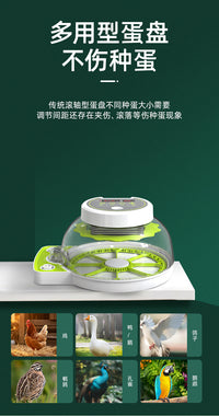 孵化器小型家用型全自动智能小鸡鹦鹉鸽子鸟蛋小飞碟孵蛋器孵化箱