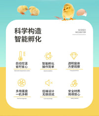 Small Smart Egg Incubator for Quail, Chicken, Bird, Duck, and Parrot